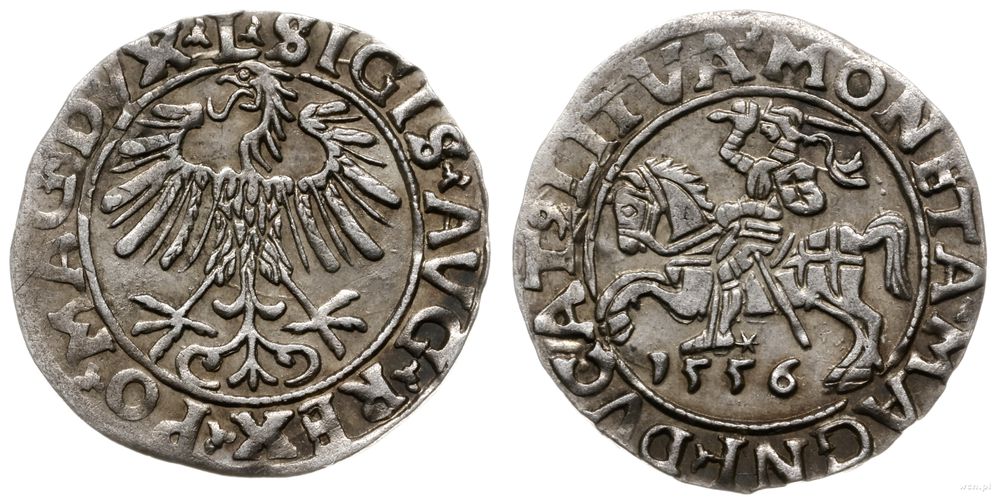 Polska, półgrosz, 1556