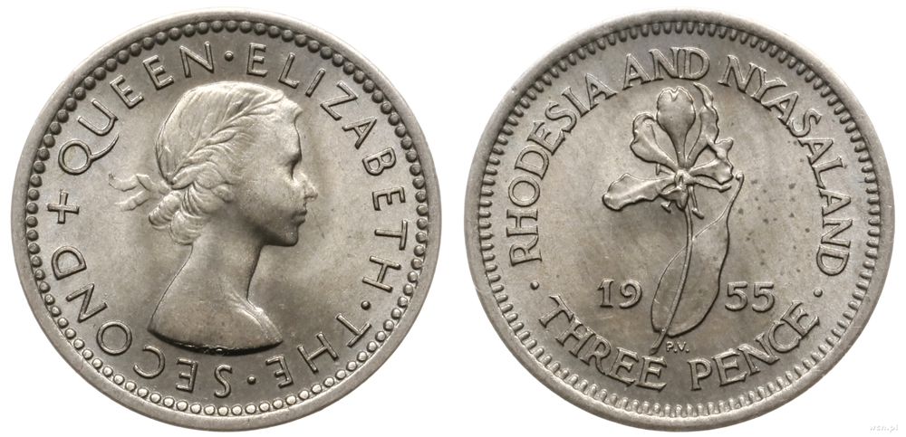 Rodezja Południowa, 3 pensy, 1955