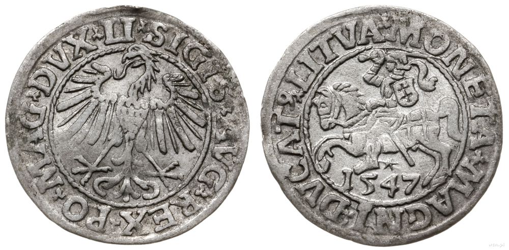 Polska, półgrosz, 1547