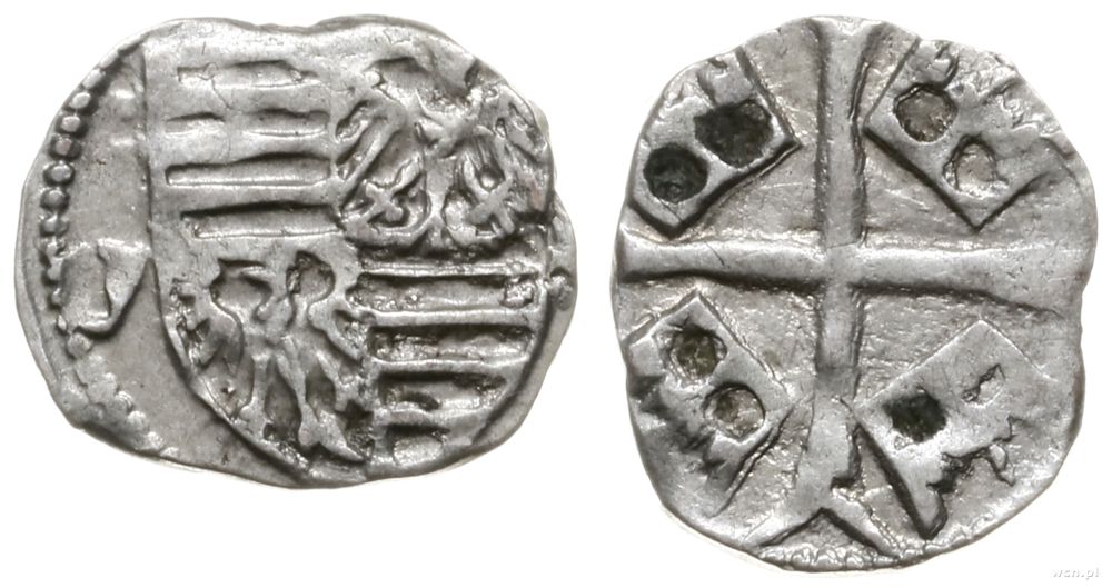 Węgry, parwus, 1387-1427