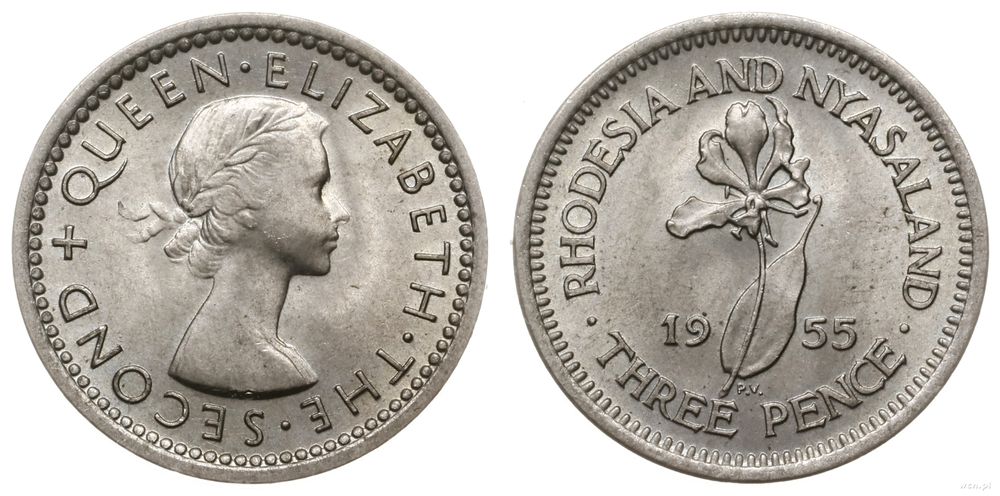 Rodezja Południowa, 3 pensy, 1955