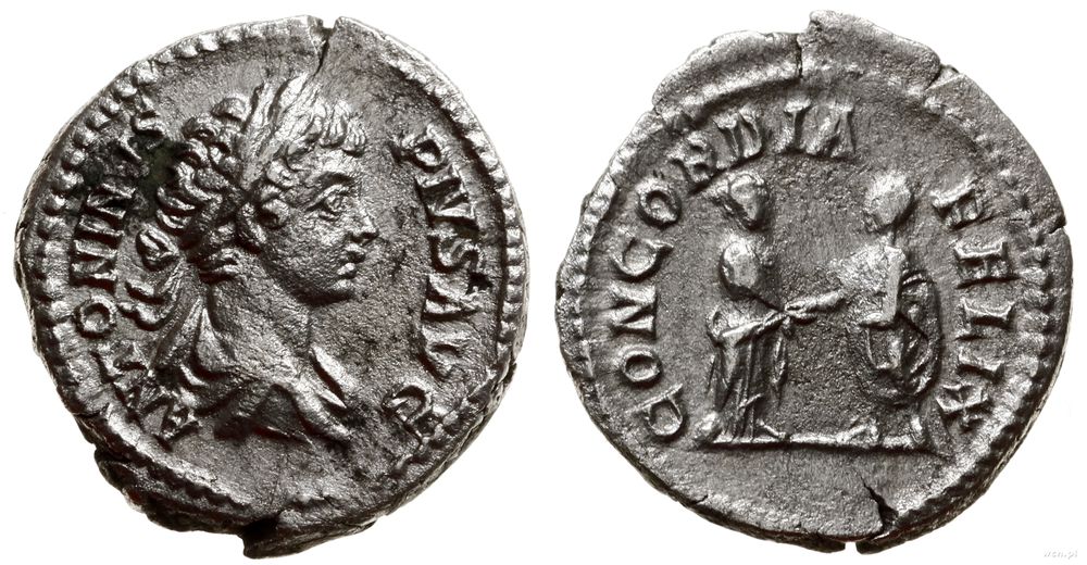 Cesarstwo Rzymskie, denar, 201-206