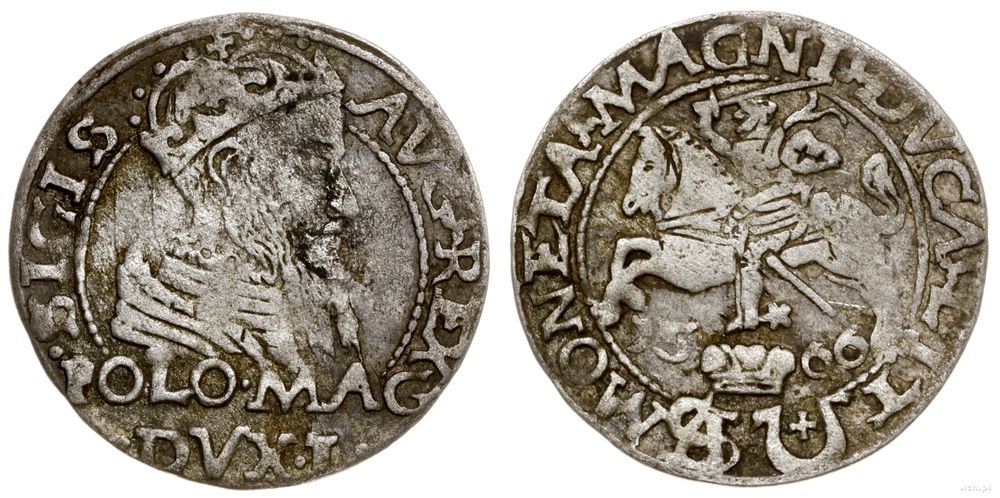 Polska, grosz na stopę polską, 1566