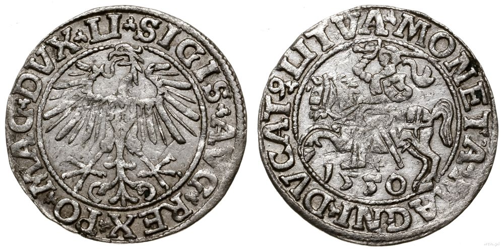 Polska, półgrosz litewski, 1550