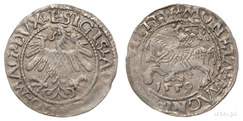 Polska, półgrosz, 1559