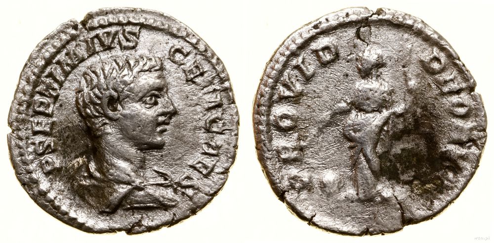 Cesarstwo Rzymskie, denar, 203–209