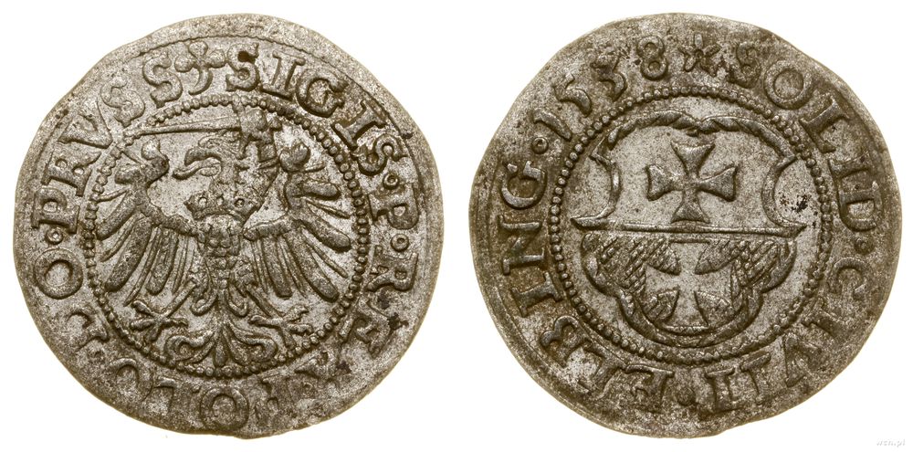 Polska, szeląg, 1538