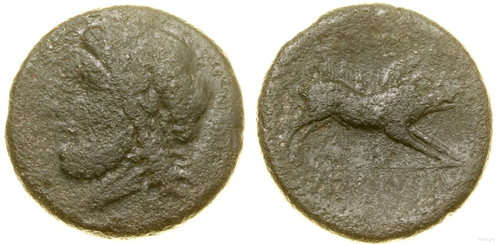 Grecja i posthellenistyczne, brąz, ok. 325–275 pne