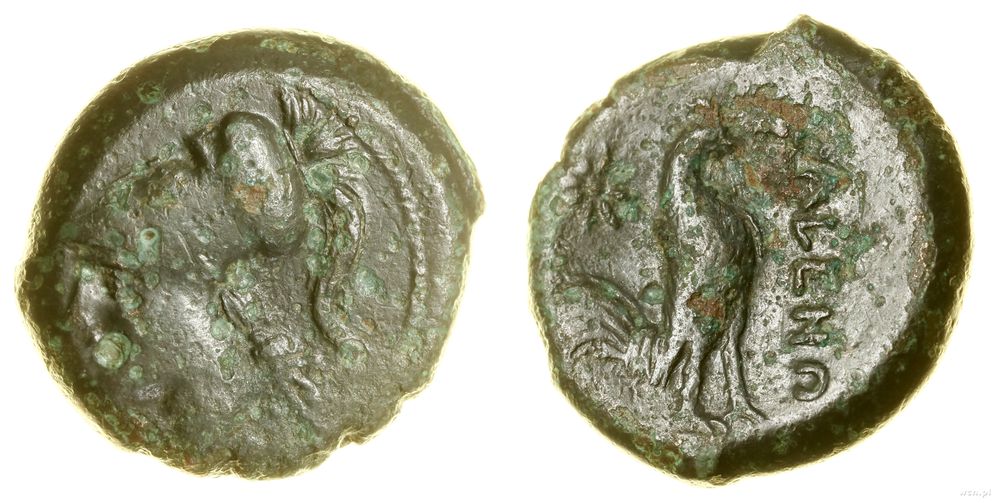 Grecja i posthellenistyczne, brąz, ok. 265–240 one
