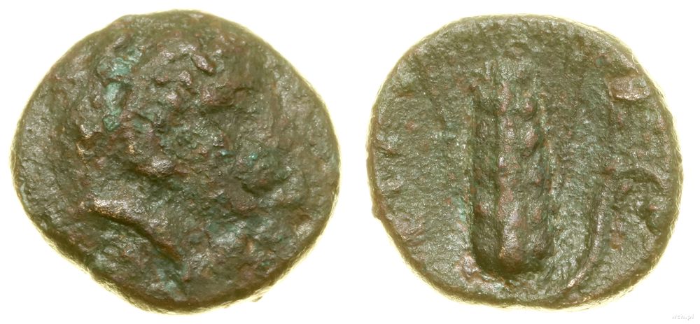 Grecja i posthellenistyczne, brąz, ok. 300–250 pne