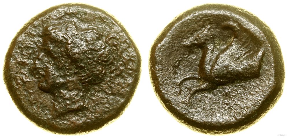 Grecja i posthellenistyczne, brąz, ok. 343–334 pne