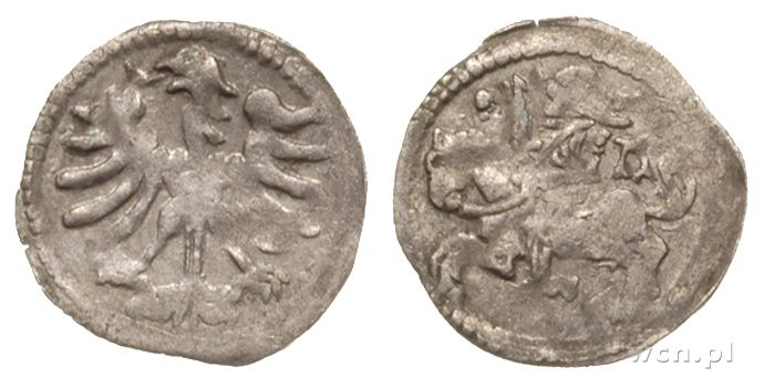 Polska, denar litewski