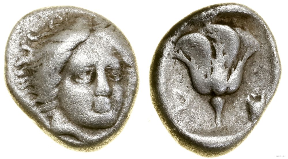 Grecja i posthellenistyczne, hemidrachma, (ok. 229–205 pne)
