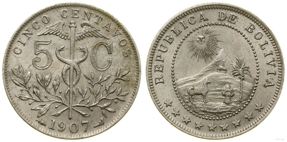 Boliwia, 5 centavo, 1907