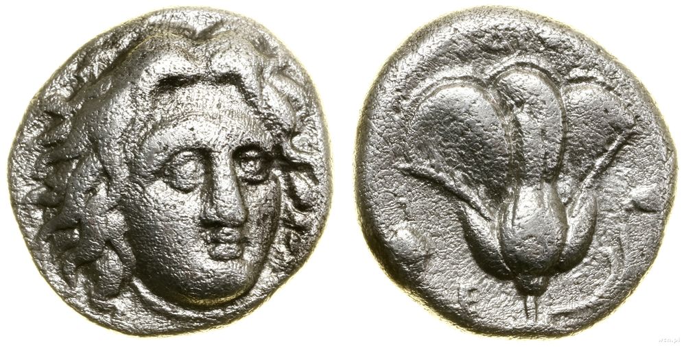 Grecja i posthellenistyczne, didrachma, (ok. 305–275 pne)