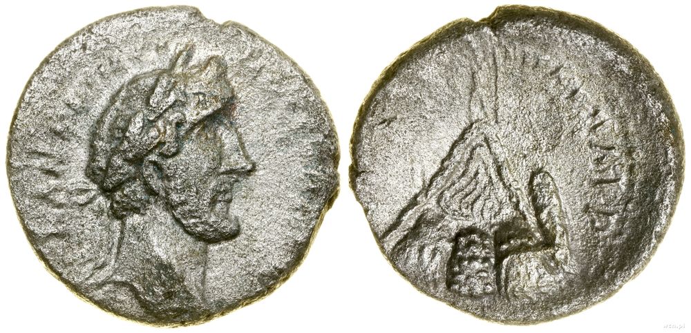 Rzym prowincjonalny, didrachma, (138–161 ne)
