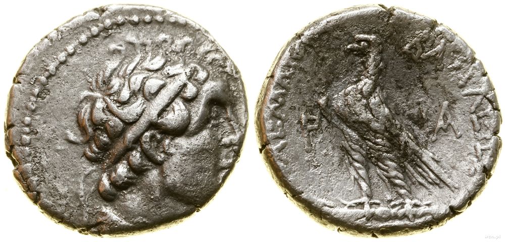 Grecja i posthellenistyczne, didrachma, rok CY 111 (ok. 149–148 pne)