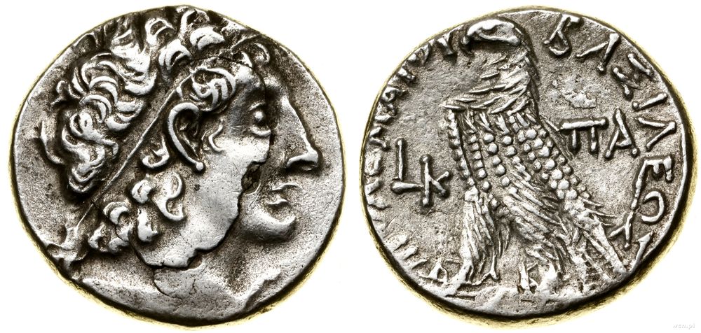 Grecja i posthellenistyczne, tetradrachma, rok 20 (95–94 pne)
