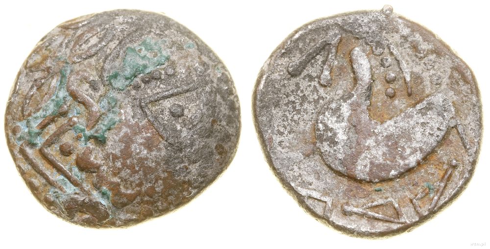 Celtowie Wschodni, tetradrachma typu Schnabelpferd, (ok. II w. pne)