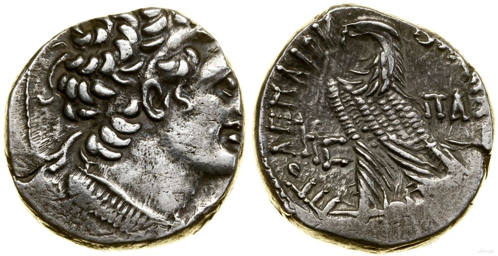Grecja i posthellenistyczne, tetradrachma, rok 16 (66–65 pne)