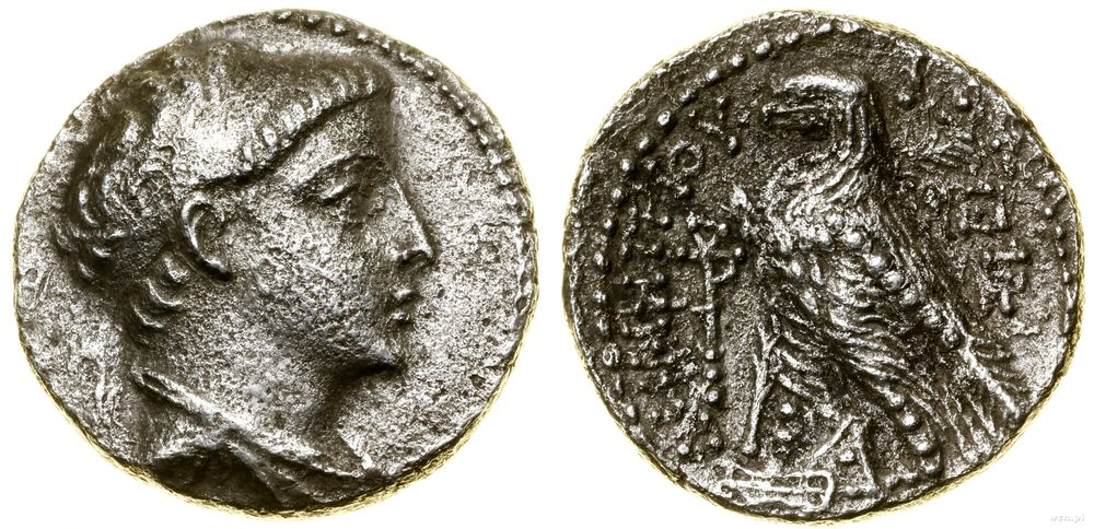 Grecja i posthellenistyczne, didrachma, (ok. 144–141 pne)