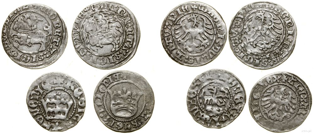 Polska, zestaw 4 półgroszy Jagiellonów