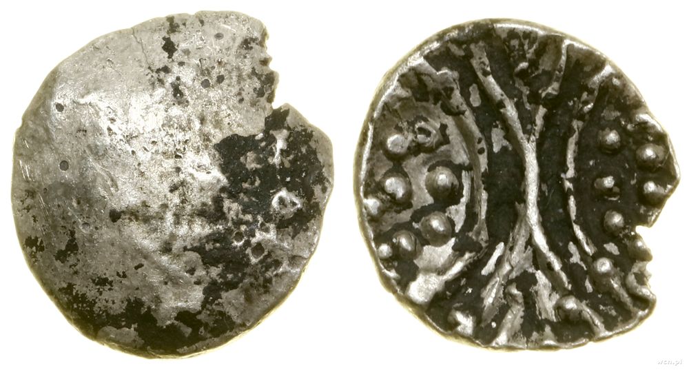 Bojowie, 1/8 statera typu Iwno, (ok. I w. pne)