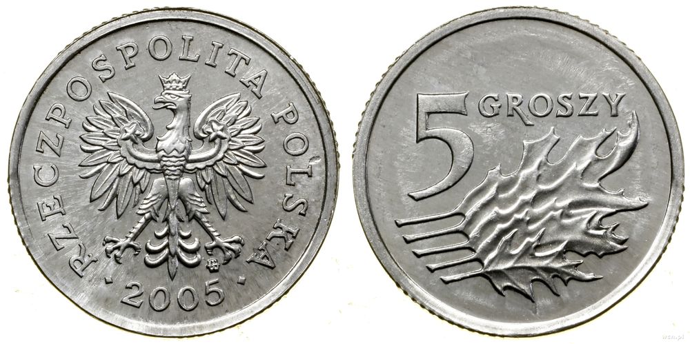 Polska, 5 groszy, 2005