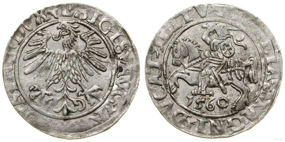 Polska, półgrosz, 1560