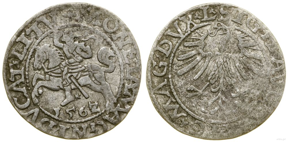 Polska, półgrosz, 1562