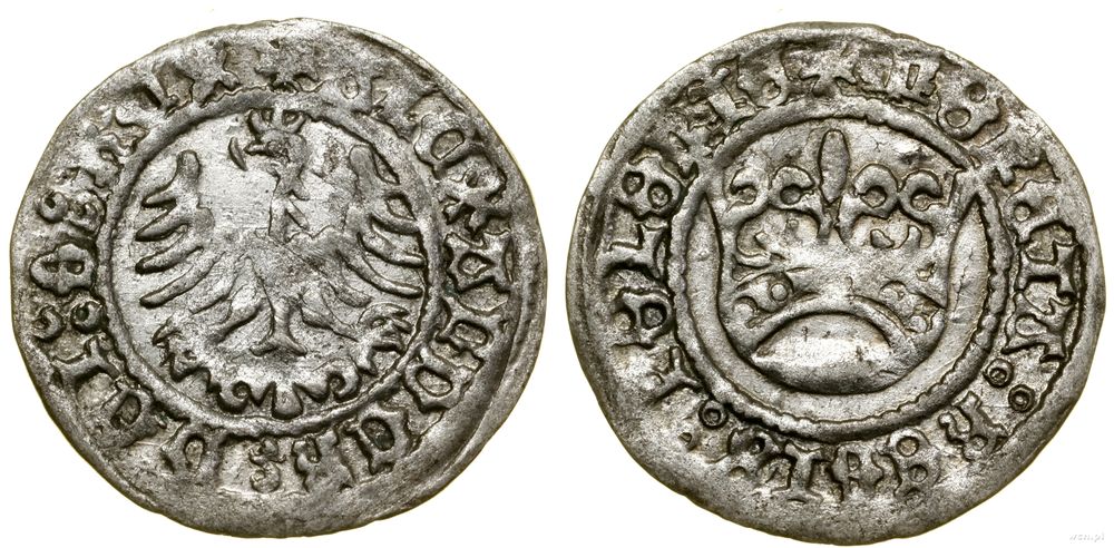 Polska, półgrosz koronny