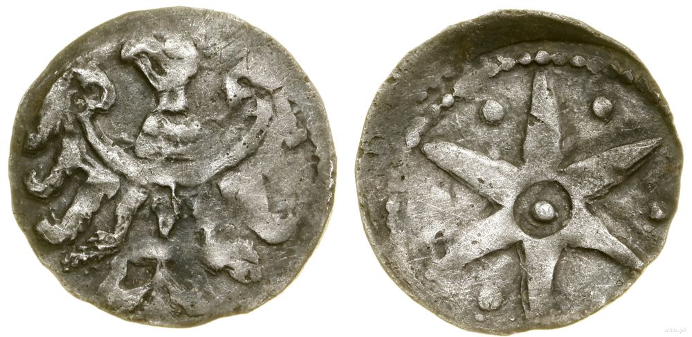 Śląsk, parwus (1/4 kwartnika), I ćw. XIV w.