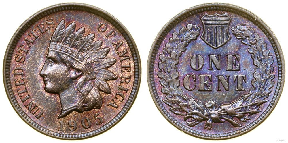 Stany Zjednoczone Ameryki (USA), 1 cent, 1905