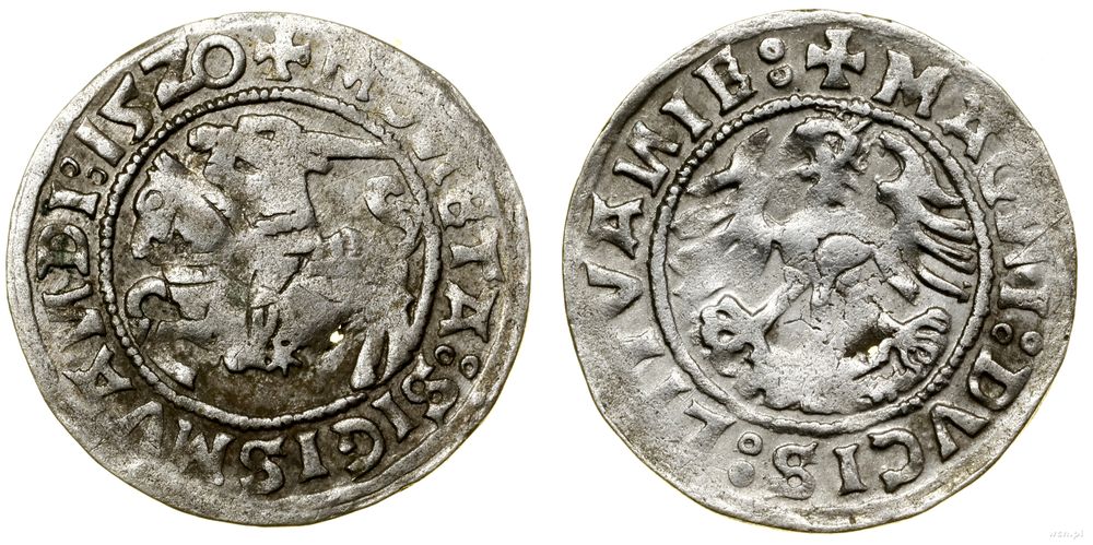 Polska, półgrosz, 1520
