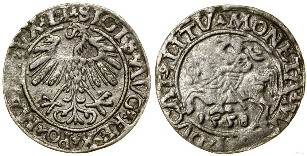 Polska, półgrosz, 1558