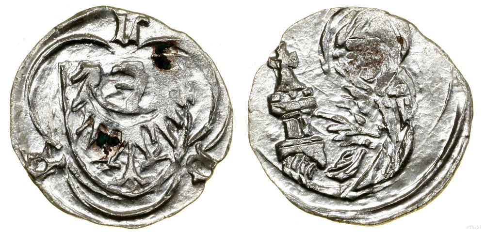 Śląsk, halerz, (po 1423–1428, 1429–1436)