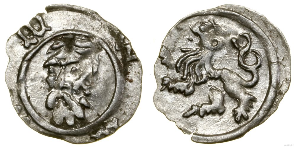 Śląsk, halerz, (1422–ok. 1430)