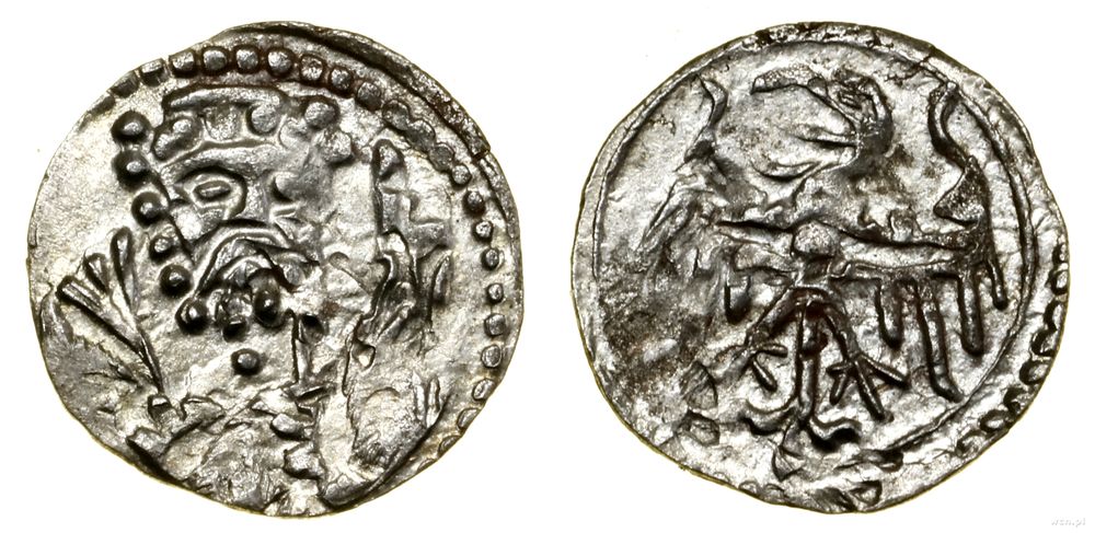 Śląsk, halerz, (1425–1448?)