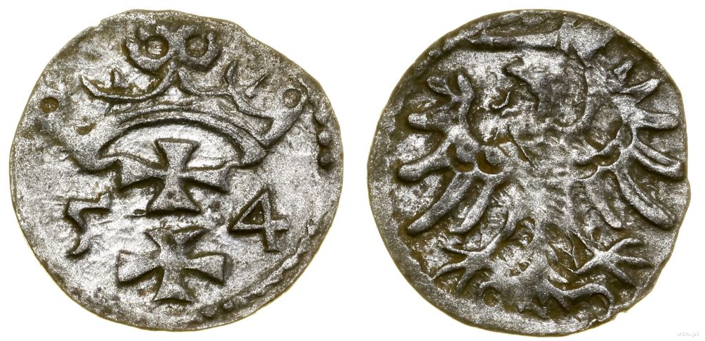 Polska, denar, 1554