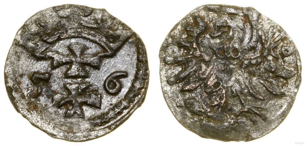Polska, denar, 1556