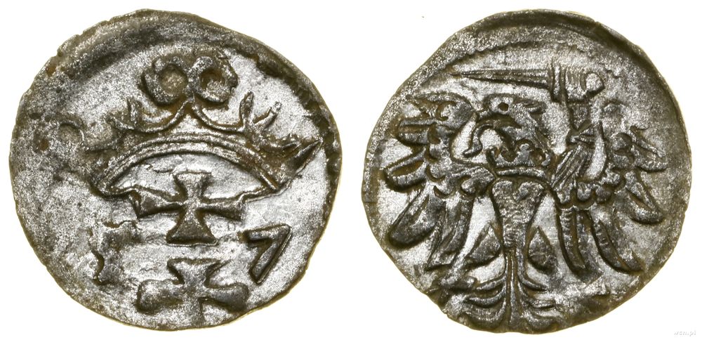 Polska, denar, 1557