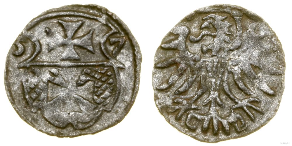 Polska, denar, 1557