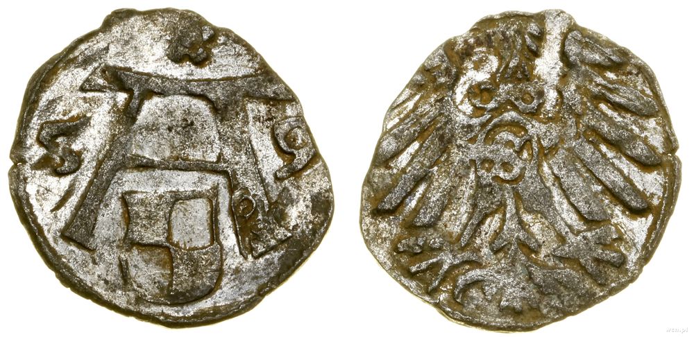 Prusy Książęce (1525–1657), denar, 1559