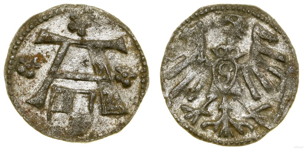 Prusy Książęce (1525–1657), denar, bez daty