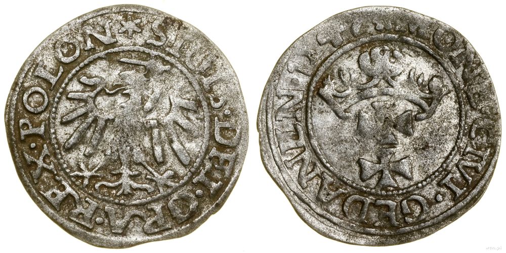 Polska, szeląg, 1547