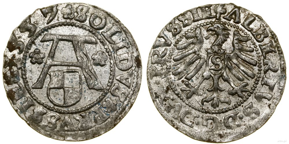Prusy Książęce (1525–1657), szeląg, 1557