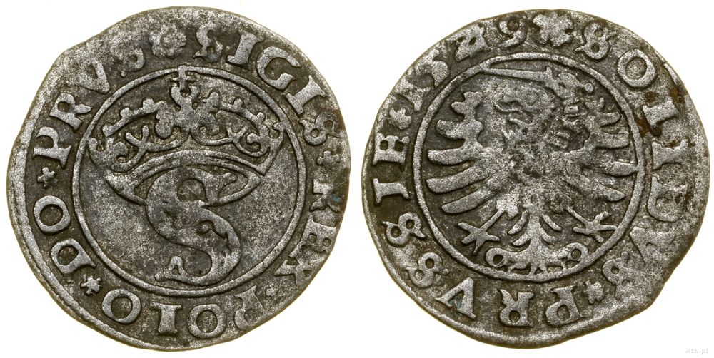 Polska, szeląg, 1529