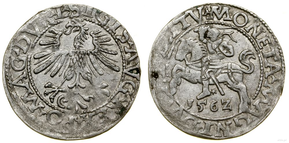 Polska, półgrosz, 1562