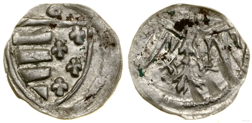 Polska, denar, bez daty (1370–1382)