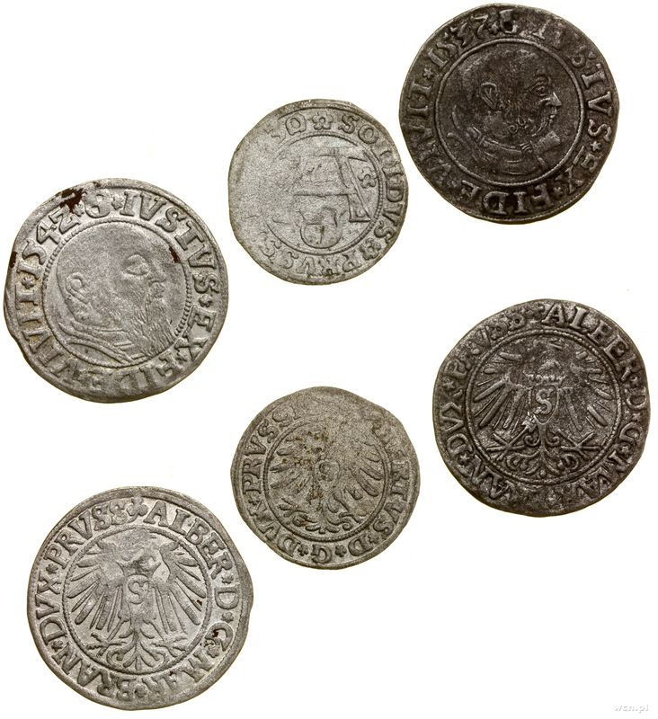 Prusy Książęce (1525–1657), zestaw 3 monet